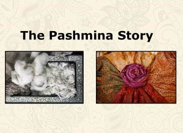 The Pashmina Story